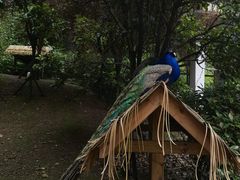 -黔灵山公园