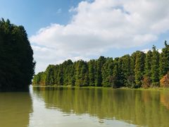 -上海海湾国家森林公园