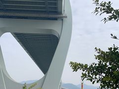 -芒洲湿地公园