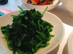 五粮液嫩豆苗-玫瑰厅上海菜(兴国路店)