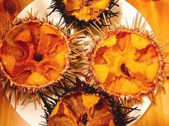 -海胆小馆(东北水饺·春柳店)