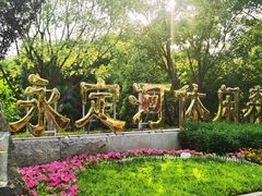 -永定河休闲森林公园