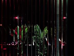 -wann lounge 低温慢煮牛排·清吧