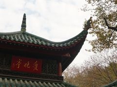 -岳麓山风景名胜区