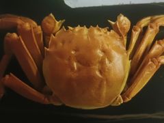 -蚝翅·海鲜粥·烧烤·龙虾季(海曙天一店)