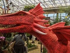 -沈阳植物园