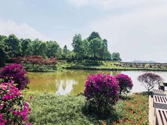-邓小平故里
