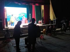 -泉州海丝野生动物世界