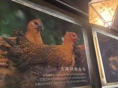 -云海肴·汽锅鸡·云南菜(天津国金汇店)