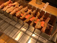 -邢氏老太太烤串(北兴街店)