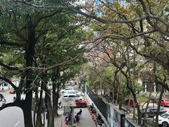 -越南民族学博物馆