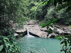 -广州白江湖森林公园