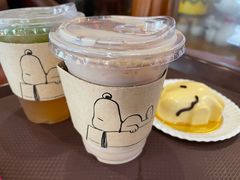 -史努比缤纷世界
