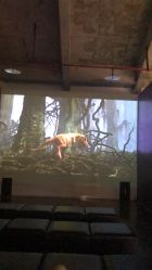 点击看大图 -恐龙探索乐园(磁器口店)