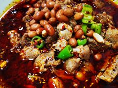 -老字号怡玺·藿香雅鱼(20年雅安店)