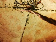 -卡朋西餐(悦汇城店)