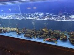-白仁仔· 活烤海鲜 宵夜(豫园店)