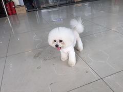 -康乐宝动物医院