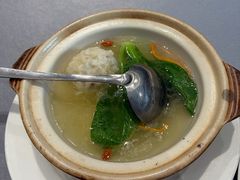-丁老爷子苏香圆
