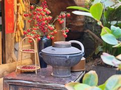 -田园印象·成都土菜院子(华阳店)