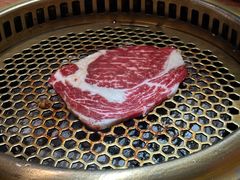 -鹤汀居酒屋•家庭料理•烧鸟酒肆(新街口店)