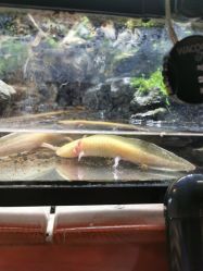 -酷嗒动物文化乐园(cutezoo西溪乐天城店)