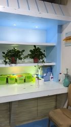 -秦皇星际小蚂蚁乐园