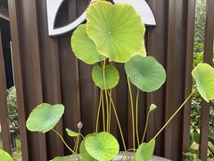 -花韵丁香酒店(北京南站牛街店)