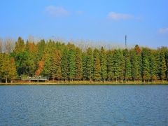 -南京枫彩漫城