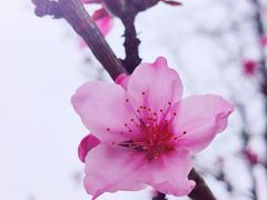 -狼山风景名胜区