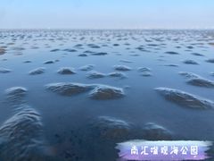 -南汇嘴观海公园