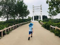 -塘沽森林公园