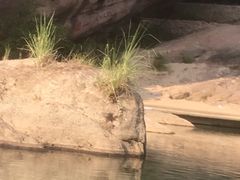 -九曲溪竹筏码头