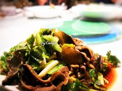 捞起肚尖-粤·向群饭店(龙津东路总店)