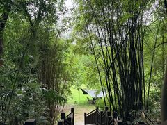 -富乐山
