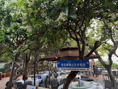 -美人鱼悬崖海景餐厅(鹿嘴山庄店)