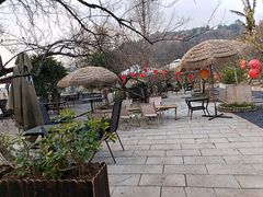 -桃源山庄·水蜜桃采摘·柴火鸡·烧烤团建(龙泉山店)