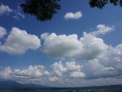 -富田农场