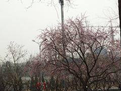 -玲珑塔公园