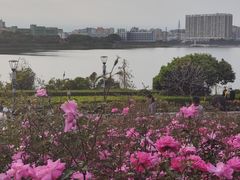 -立新湖公园