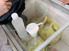 椰子雪糕-洪馨椰子