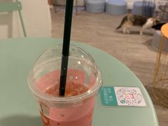 -有猫主题·治愈系猫咖(曾厝垵店)