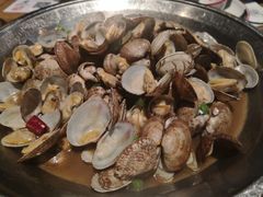 铜盘花蛤-新白鹿餐厅(城西银泰城店)