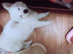 -自贡好吃客(科华店)