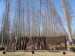 -黄海国家森林公园