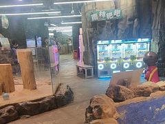 -正佳雨林生态植物园