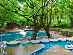 -东明山森林公园