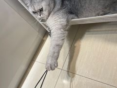 -Oasis绿洲银饰珍珠手作diy(壹方城店)