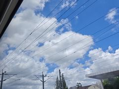 -小杨生煎(金山百联购物中心3楼店)