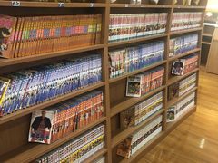 -重庆南山海昌汤都